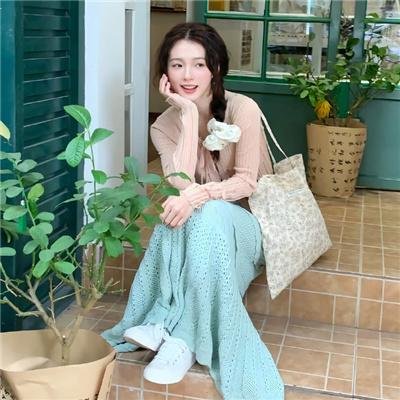 二呆流浪记之完全大人手册